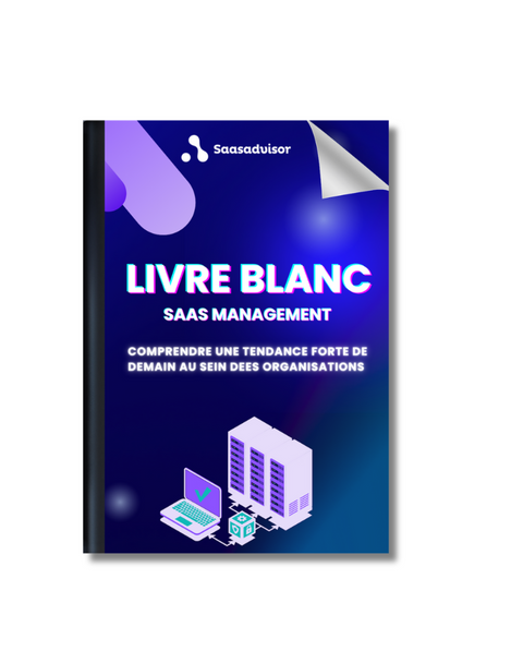Saas Management Conseil Saas Advisor